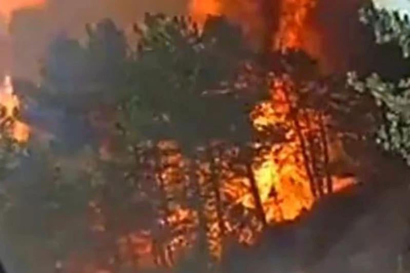 Bolu’da orman yangını