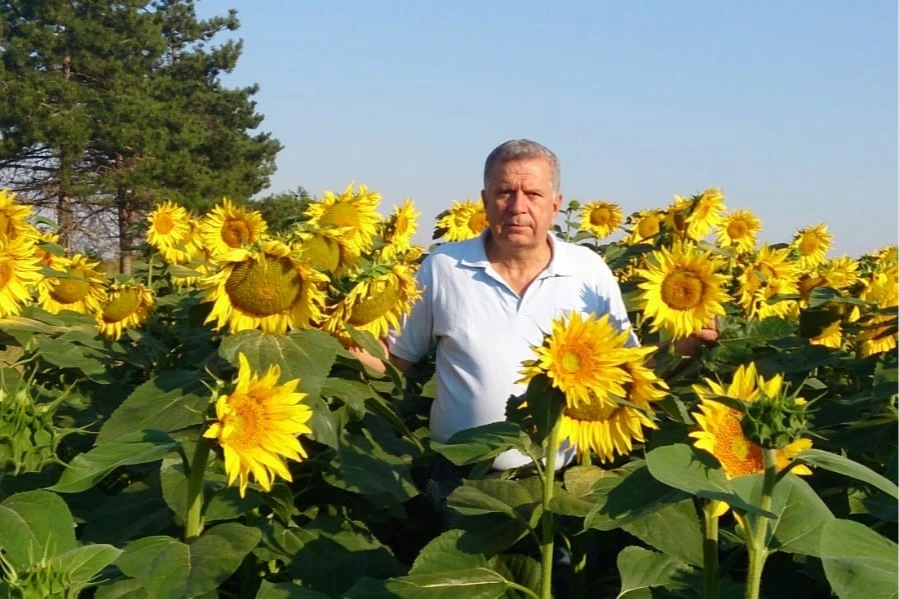 CHP’li Oğuz’dan Trakya’da ayçiçeği alarmı!