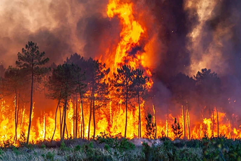 İtalya’da orman yangını geniş bir alana yayıldı