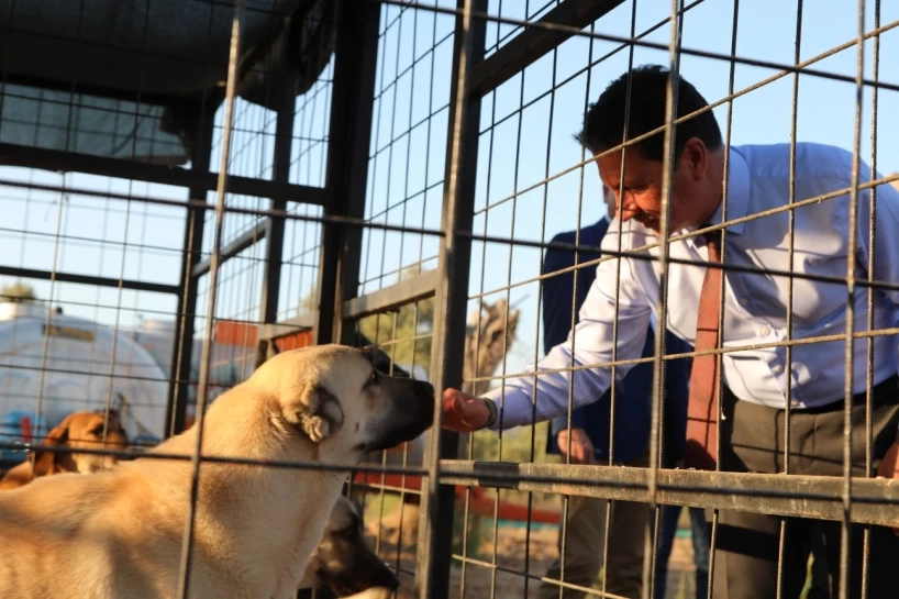 Muğla Büyükşehir