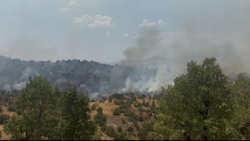 MHP Gerger İlçe Teşkilatı’ndan yangın sonrası fidan seferberliği: ‘Küllerimizden yeniden yeşereceğiz’ 