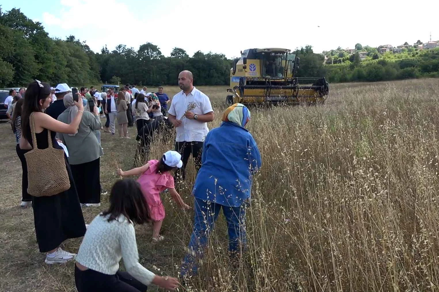 İstanbul Şile’de keten hasadı gerçekleştirildi 