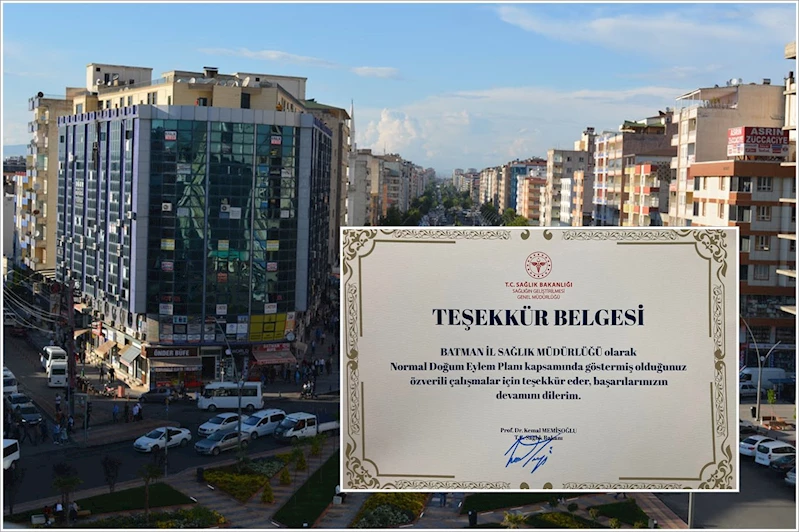 Batman, normal doğumda örnek il seçildi