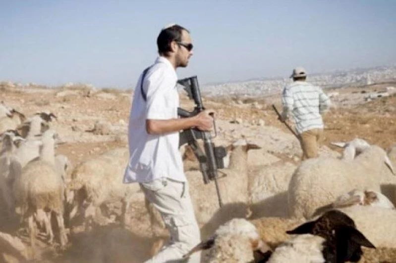 Yahudi çeteler Filistinlilerin arazilerine saldırdı