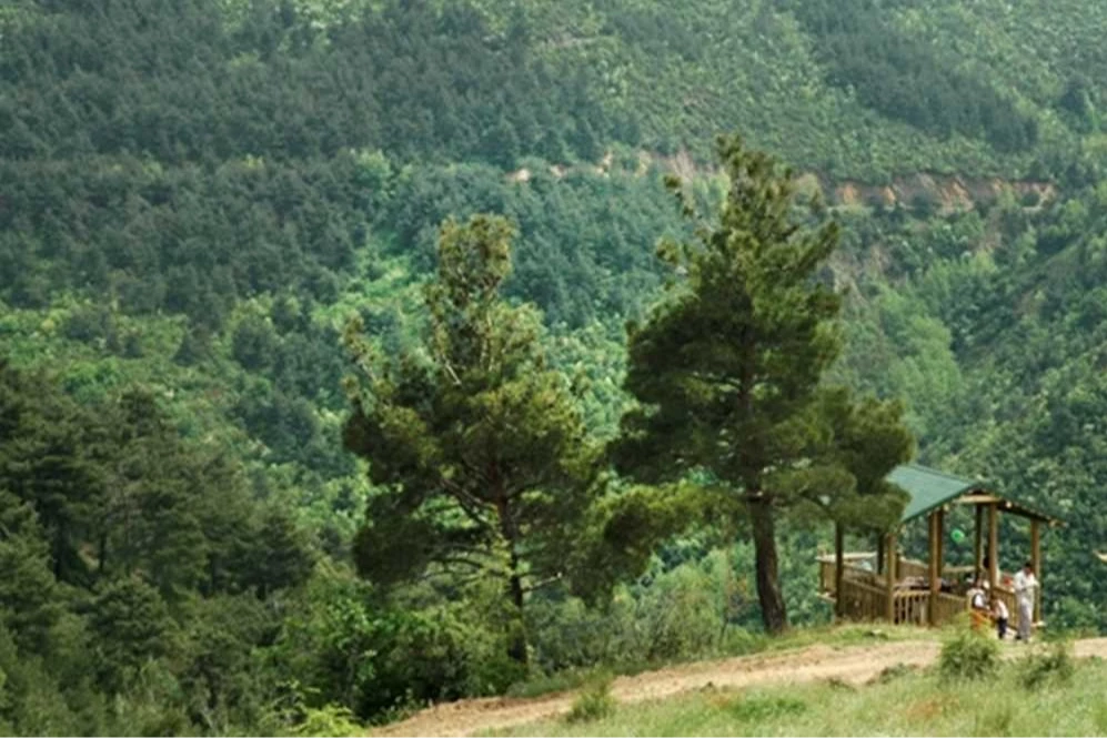 Bursa’da ormanlara giriş 15 Ekim