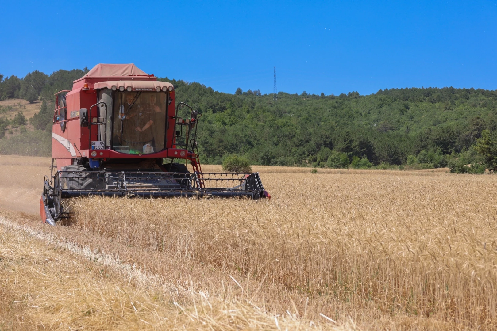 Bilecik’te 75 bin ton buğday üretildi