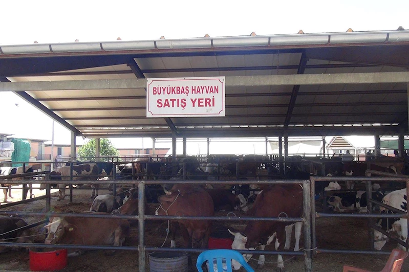 Gaziantep İl Tarım ve Orman Müdürlüğünden hayvan pazarlarıyla ilgili açıklama