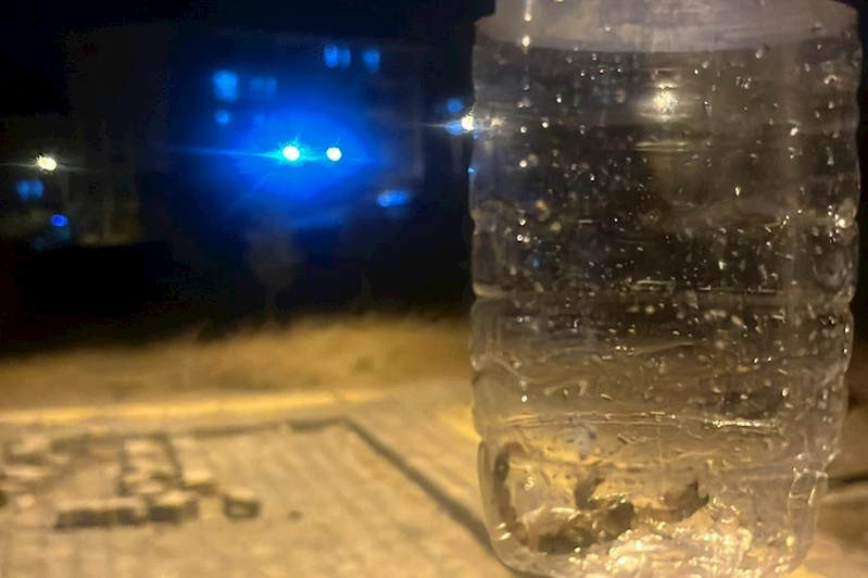 Batman Yenişehir Mahallesi’ni akrepler sardı