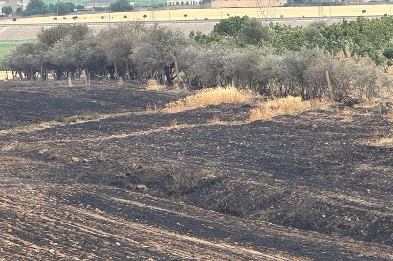 Orman ve anız yangınları için meteorolojik risk uyarısı