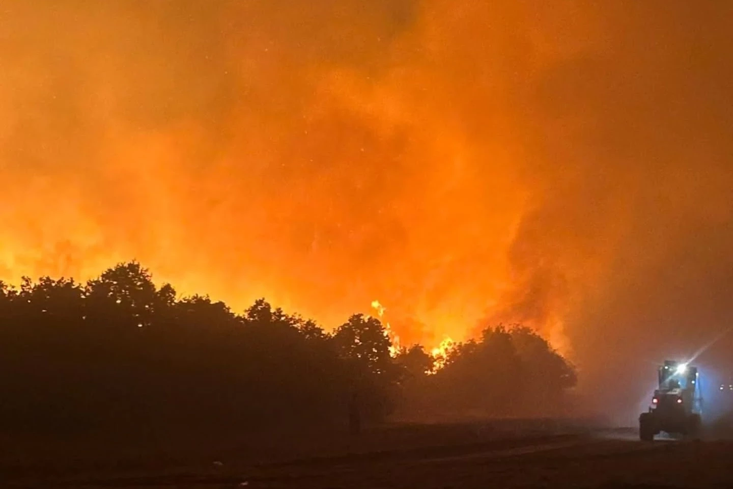 Enez’deki orman yangını kontrol altına alındı