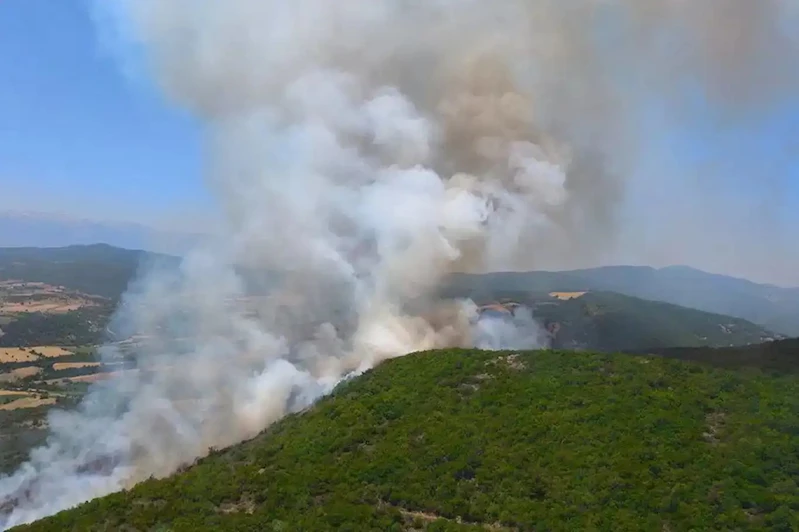 Mersin Silifke’de orman yangını: Havadan ve karadan müdahale ediliyor