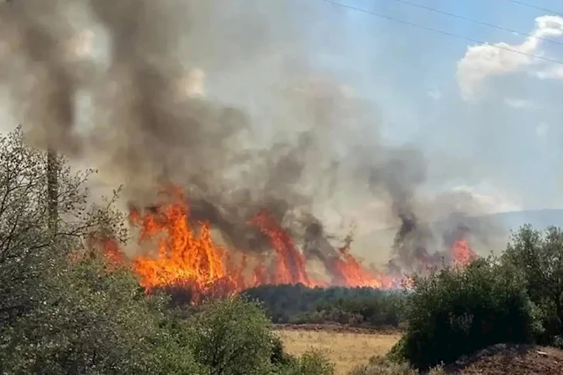 Mersin ve Hatay’da orman yangınları devam ediyor: 2 bin 966 kişi tahliye edildi