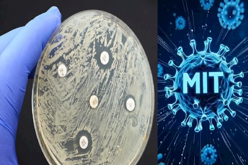 MIT’den yapay zekâ destekli yeni antibiyotikler