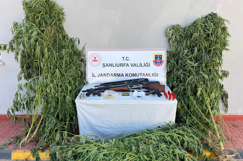 Şanlıurfa’da uyuşturucu ve silah operasyonu