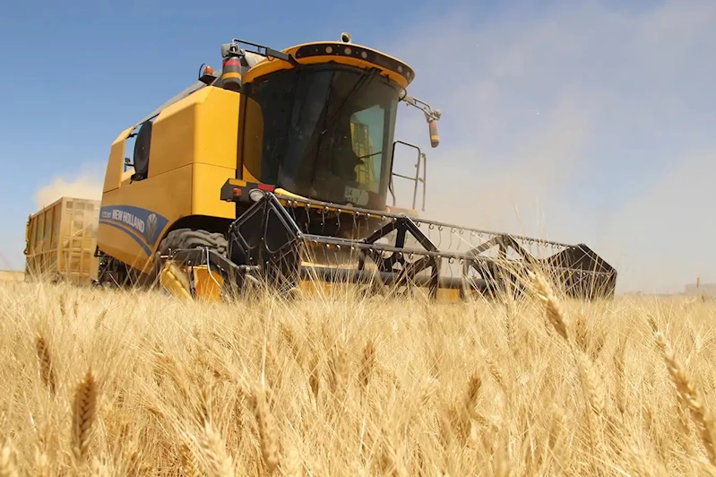 Tarımsal girdi fiyat endeksi arttı