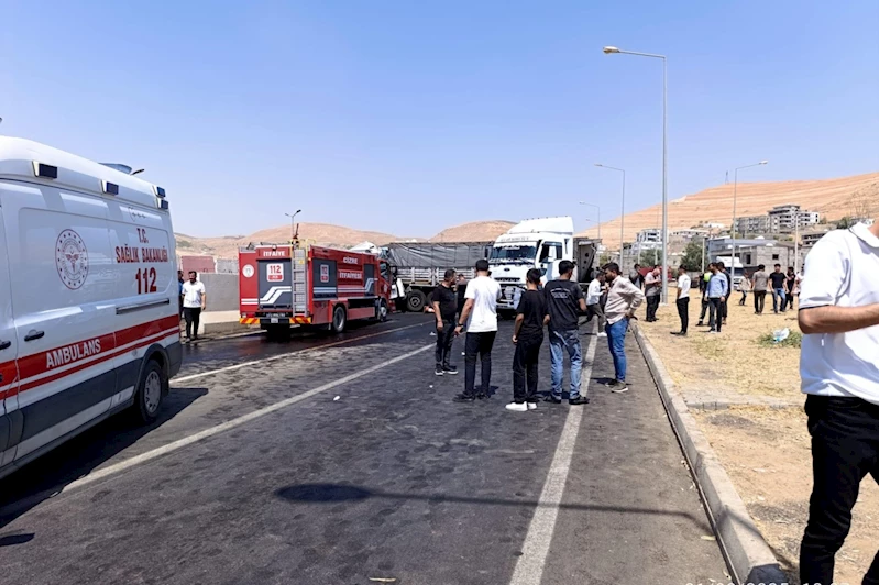 Şırnak’ta iki tırın karıştığı kazada sürücülerden biri hayatını kaybetti