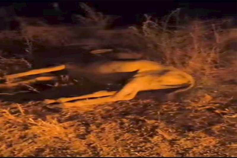 Karlıova-Varto karayolunda kaza: Bir kişi yaralandı