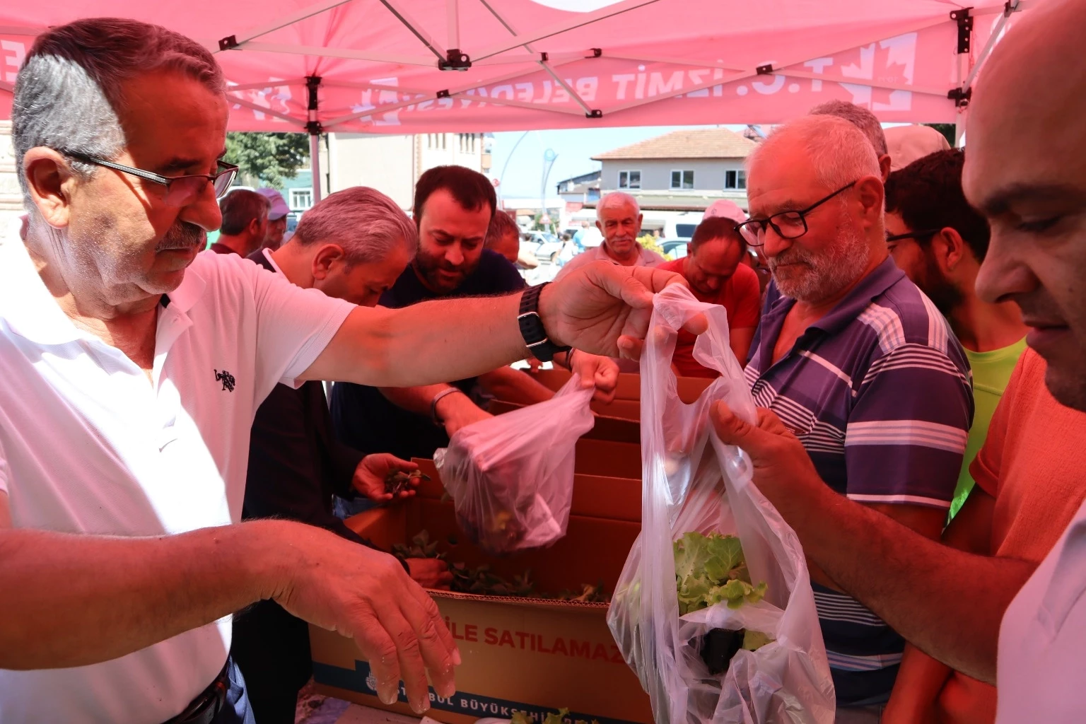 İzmit Belediyesi’nden Akmeşe’de üretime fide desteği