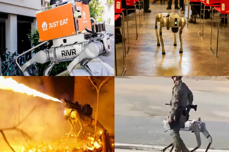 Robot köpeklerin kullanım alanı hızla genişliyor