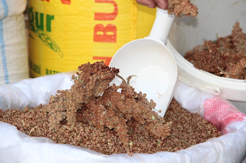 Kuraklık nedeniyle yerli sumak fiyatı yüzde 50 arttı