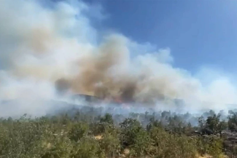İzmir Seferihisar’da orman yangını