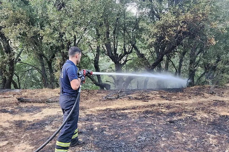 Siirt’te orman yangını: 30 hektarlık alan kül oldu