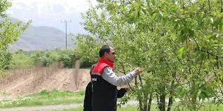 Bahçeler Şenlendi: 10 Bin Vişne Ağacı Dikimi Tamamlandı