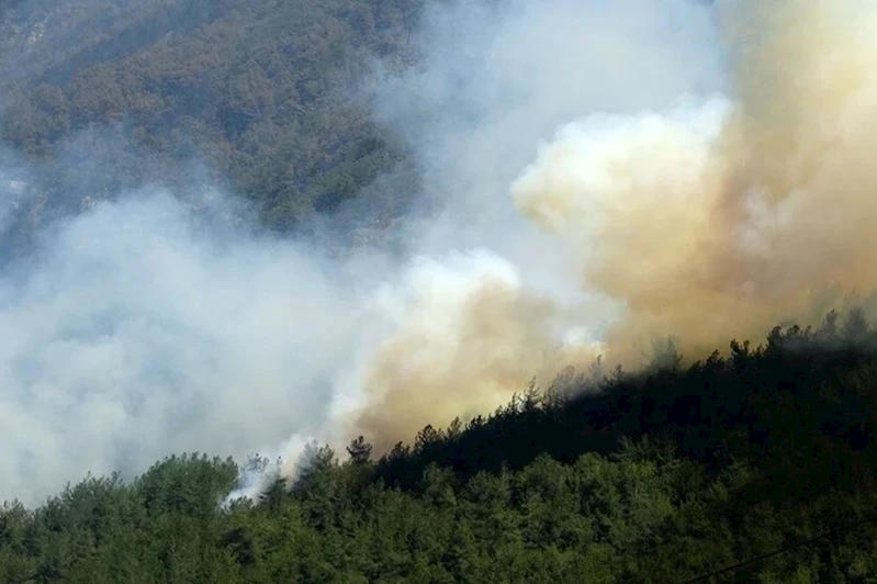 Şırnak’ta örtü yangını