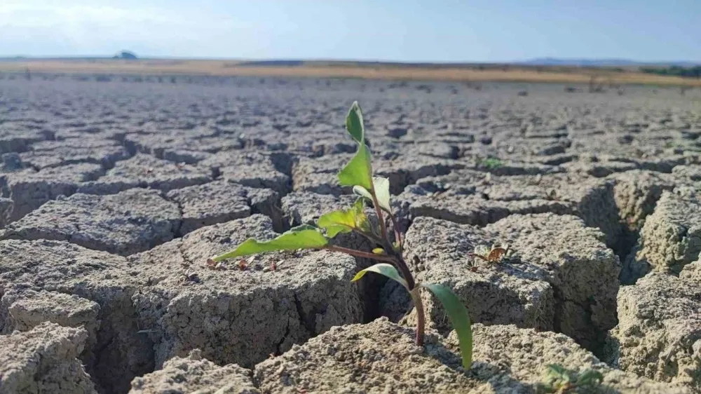Çevre: su kaynakları ve kuraklık uyarısı