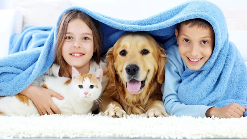 ‘Kedi ve Köpek Tüyü Hastalık Yapar mı?’: Veteriner Hekim Mustafa Yıldız yanıtladı 