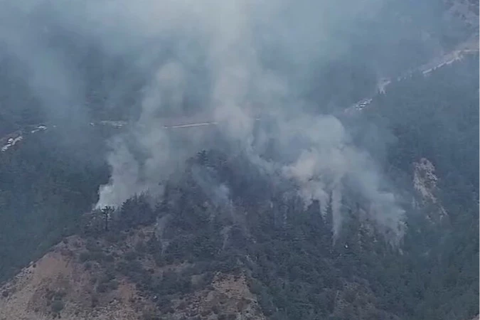 Karabük Yeşilköy’de orman yangını