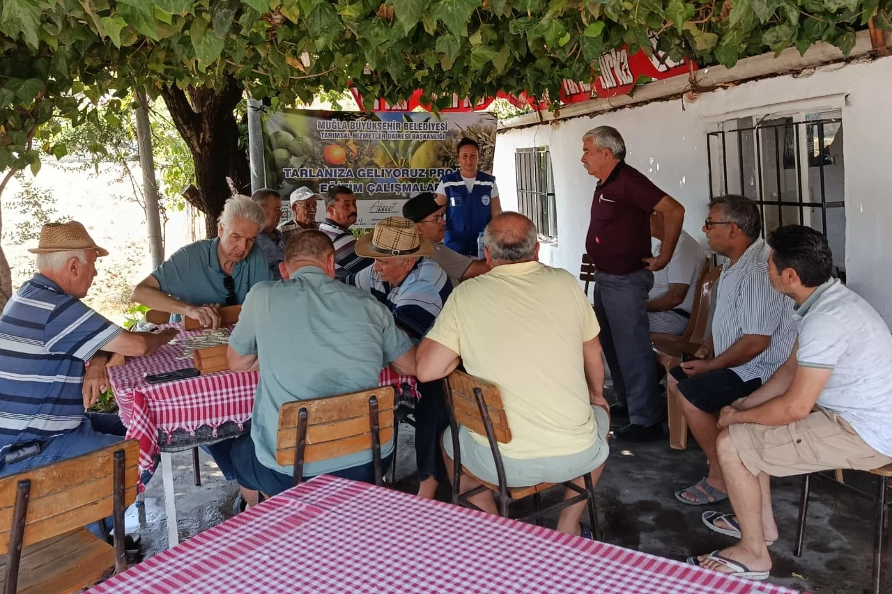 Muğla Büyükşehir’den zeytin üreticisine eğitim desteği