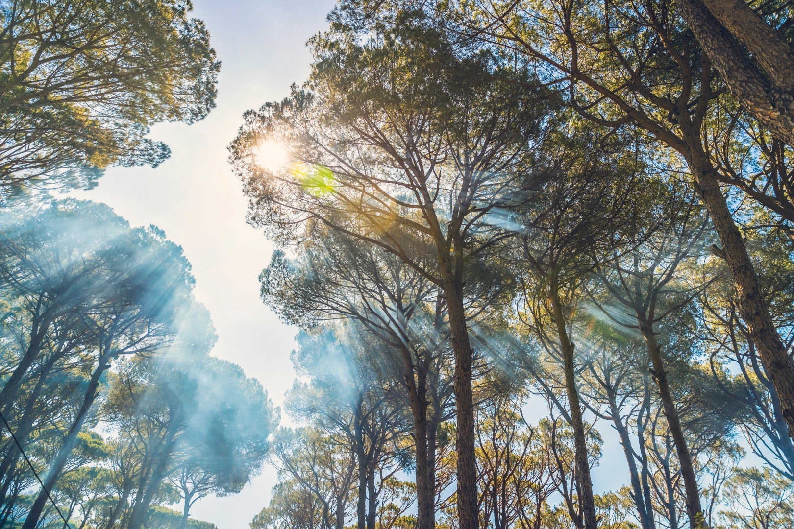 Yangın riskine karşı tatilde nasıl davranmalıyız?