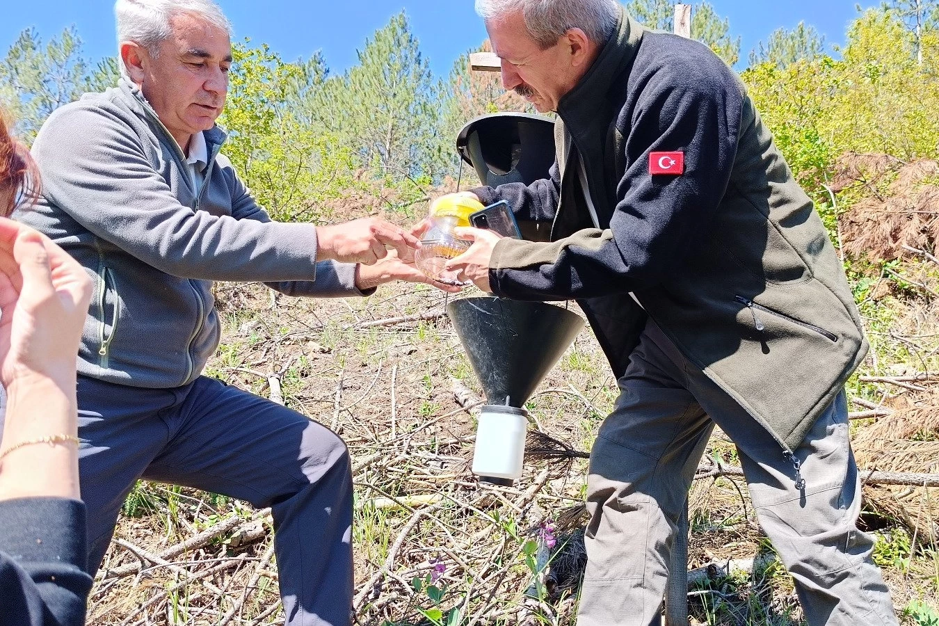 Bursa’da kabuk böceklerine karşı biyolojik mücadele başladı