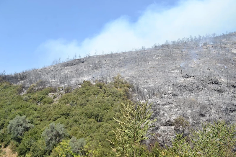 ÇMO Bursa Şube Başkanı Şen: Çevre bilinci alışkanlık değil, yaşam biçimi olmalı