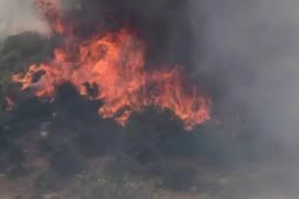 Şirin Çoğal Keşan’daki yangınla ilgili açıklama