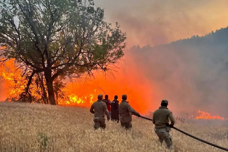 Orman yangını riskine karşı önlemler artırıldı