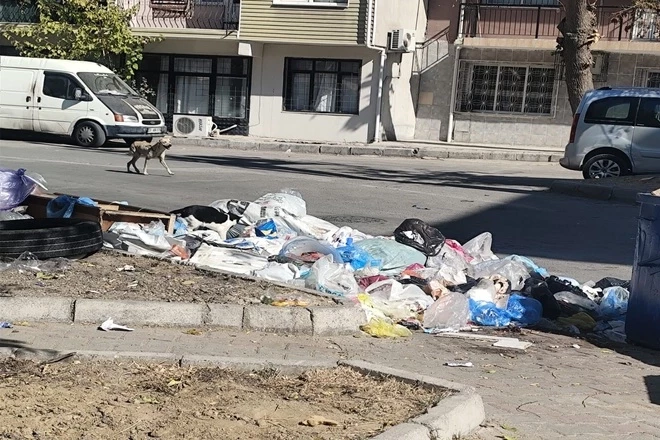 İzmir Buca’da çöp krizi! Mahalleler çöplüğe döndü, vatandaşlar isyanda