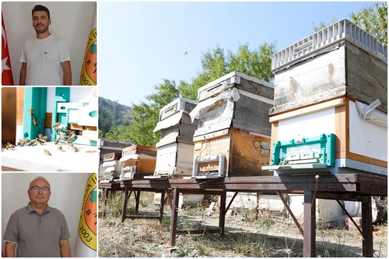 Kuraklık ve yangın arıcılığı tehdit ediyor, sektör temsilcileri endişeli