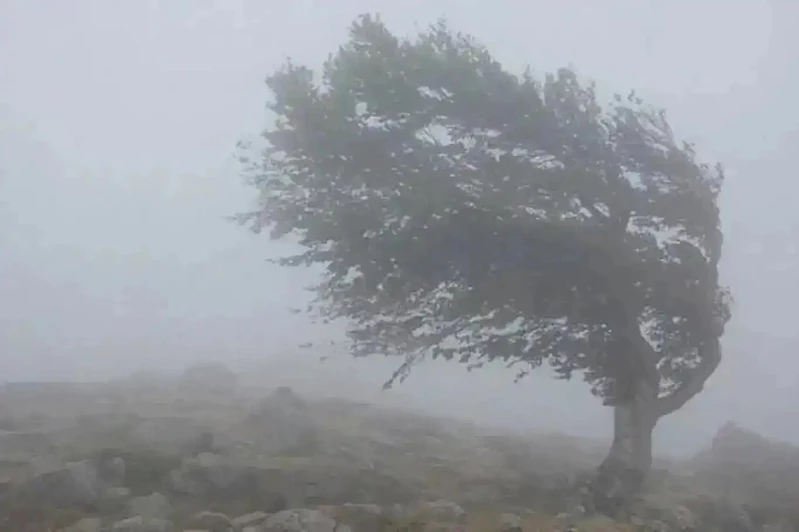 Meteoroloji’den Diyarbakır ve Şanlıurfa için kuvvetli rüzgar uyarısı