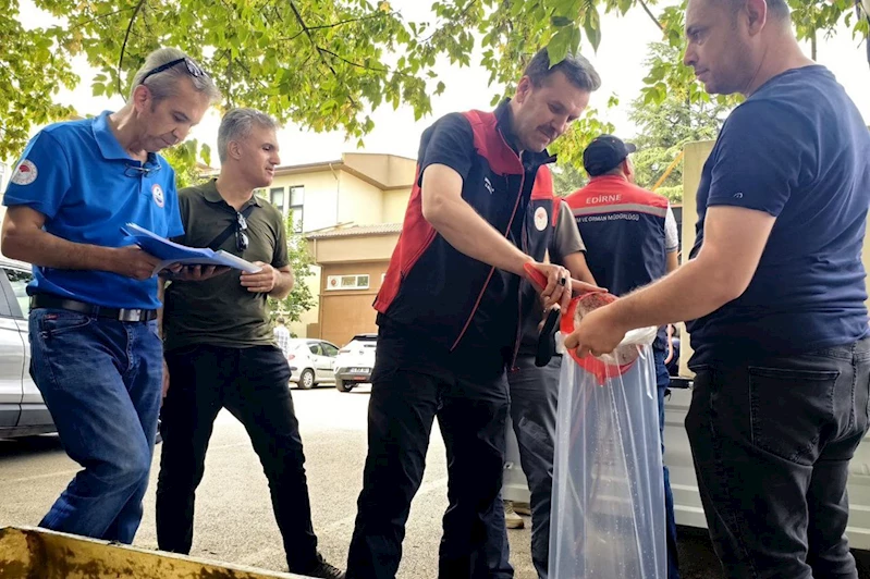 Bursa’da göl ve göletlere 2 milyon sazan balığı yavrusu bırakılacak