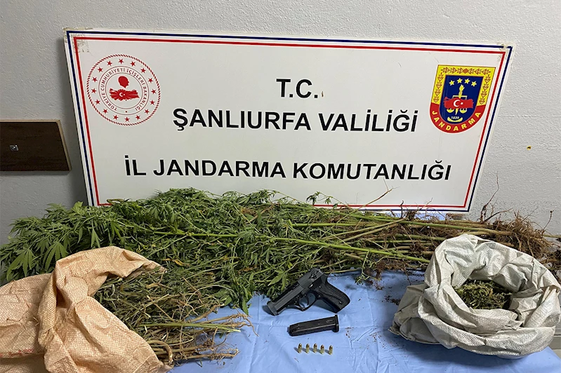 Şanlıurfa’da uyuşturucu operasyonu: 8 gözaltı