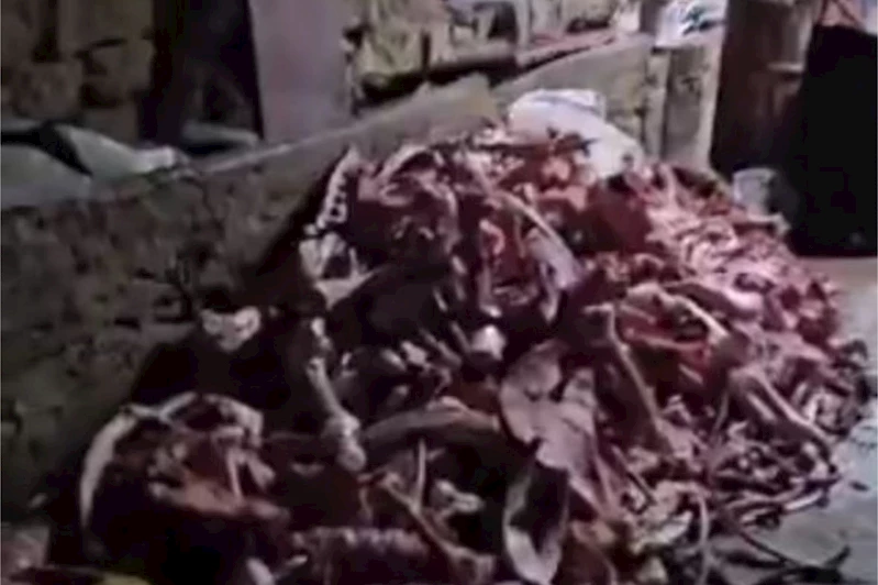 Kayseri’de bir ahırda 1,5 ton uygunsuz et ele geçirildi