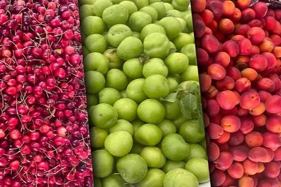Tarım ÜFE aylık azaldı, yıllık arttı! En yüksek artış yumuşak ve sert çekirdekli meyvelerde