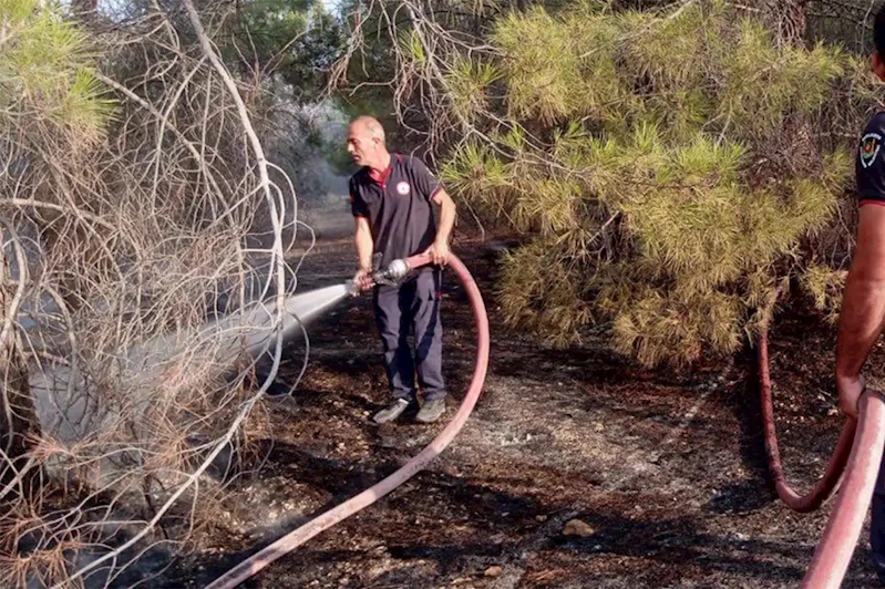 Şanlıurfa’da çıkan orman yangını söndürüldü