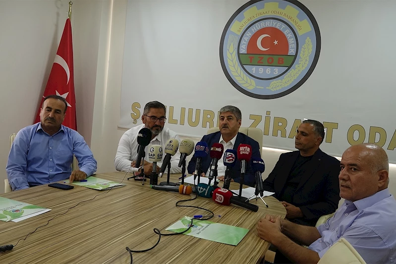 Şanlıurfa’da fıstık ithalatı tepkisi: “Çiftçi kuraklıkla boğuşurken ithalat kabul edilemez”