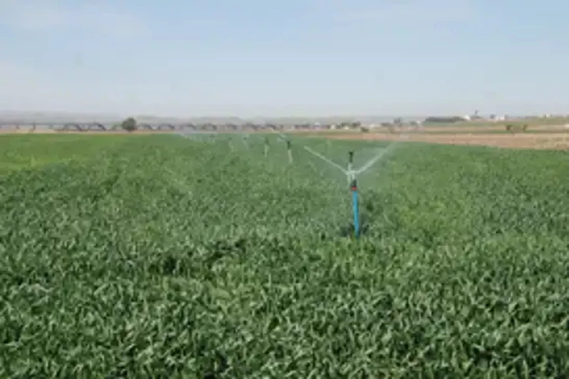 Bingöl İl Tarım ve Orman Müdürlüğü duyurdu