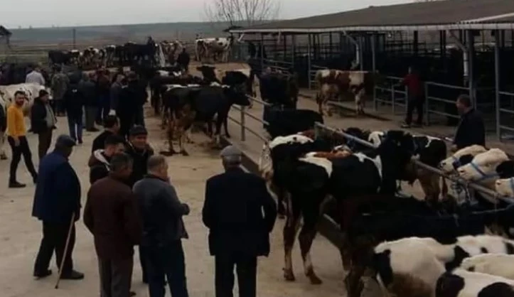 Edirne Keşan’da Canlı Hayvan Pazarına Kapatma Kararı