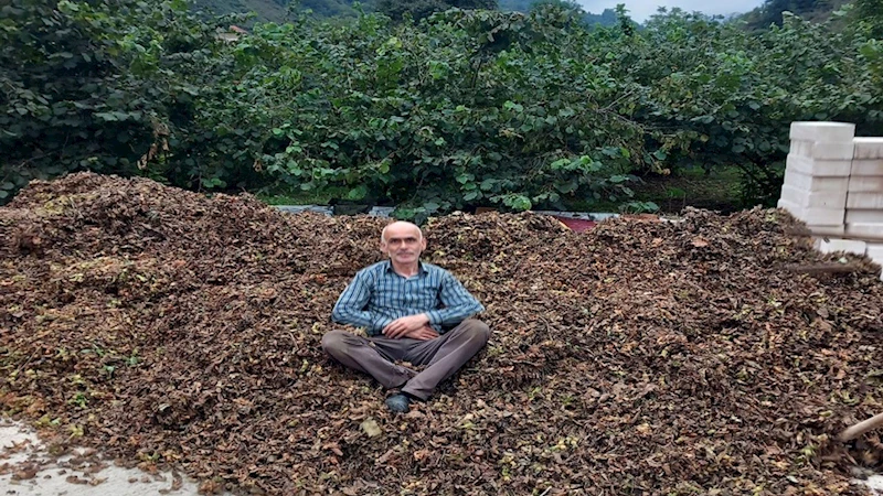 Fındık fiyatı düşürülmeye mi çalışılıyor?