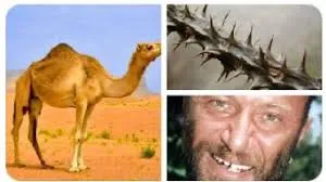 Sadakat Satılık Değil